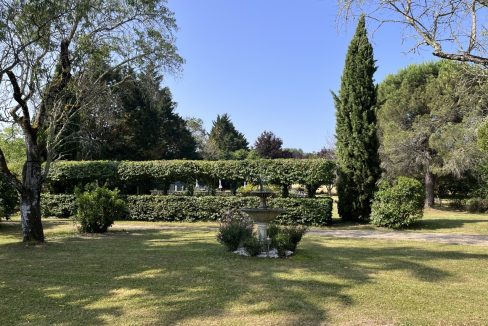 IMG_8645 2 - Grande