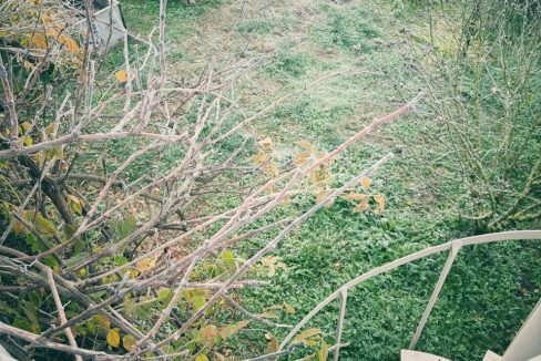 10a55c34-1643-483a-9897-666ec1b7a008 2 - Grande