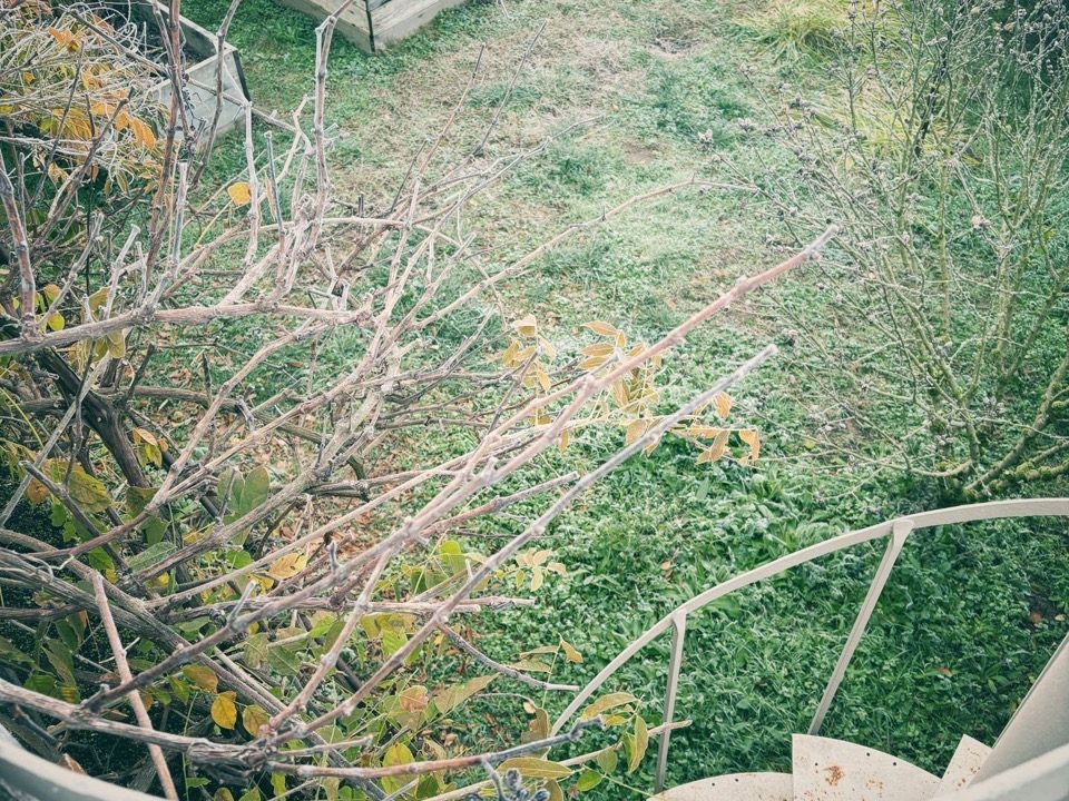 10a55c34-1643-483a-9897-666ec1b7a008 2 - Grande