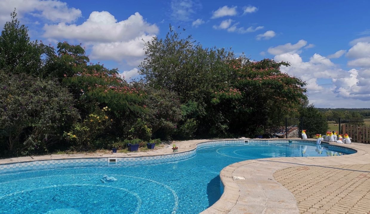 PHOTO-2025-11-19-11-56-57 3 - Grande