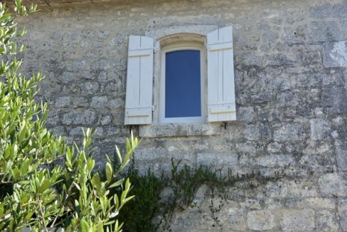 IMG_6611 - Grande