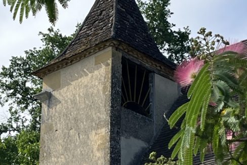 IMG_6849 - Grande