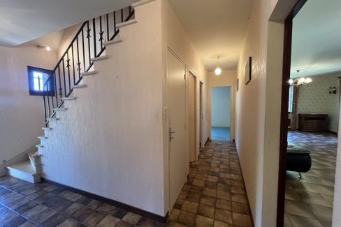 IMG_7254 - Grande