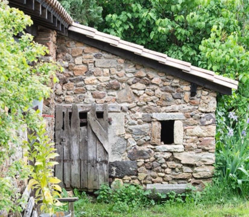 PHOTO-2026-07-30-11-40-52 copie 2
